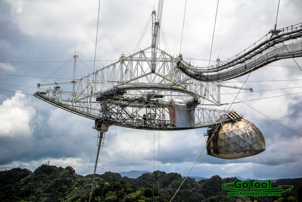 Visit arecibo hot sale observatory