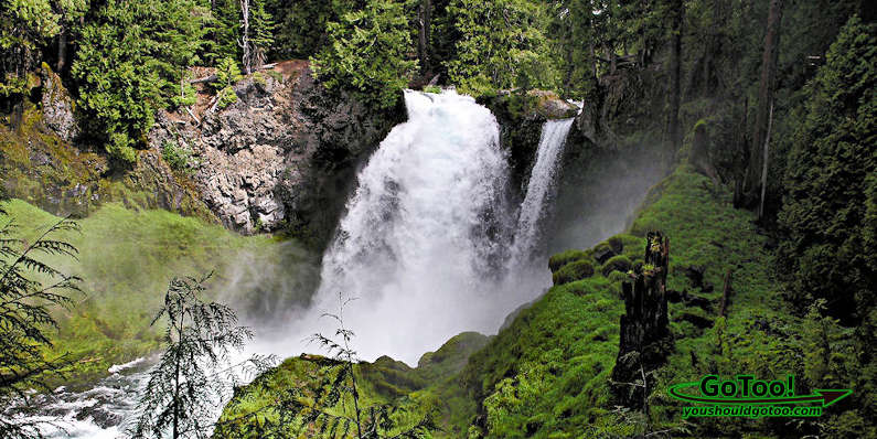 McKenzie River Trail Waterfalls, Oregon