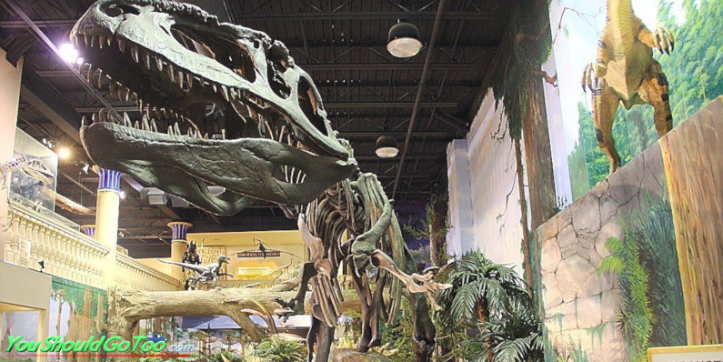 The Dinosaur Store & Museum in Cocoa Beach, Florida