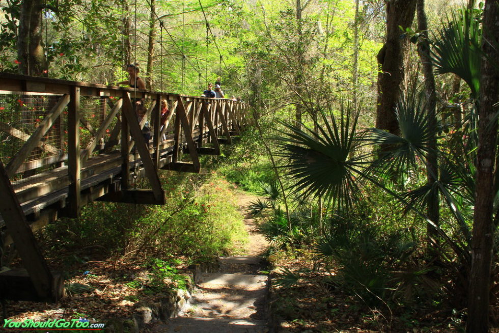 Ravine Gardens State Park • Azaleas in Palatka, FL